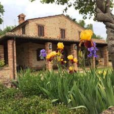 villa-isabella-02