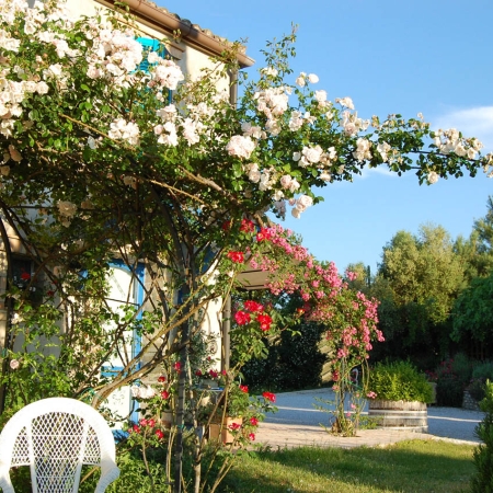 associazione-bed-and-breakfast-del-fermano-vento-di-rose-01