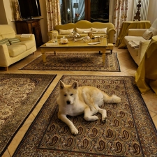 associazione-bed-and-breakfast-del-fermano-villa-rondanella-03